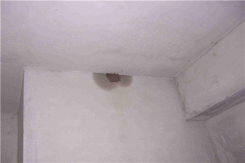 家里水管漏水怎么办？ 解决水管漏水的办法？